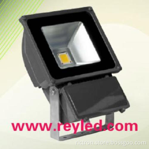 IP65 80W High Power LED Floodlight